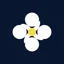 Blumify 图标